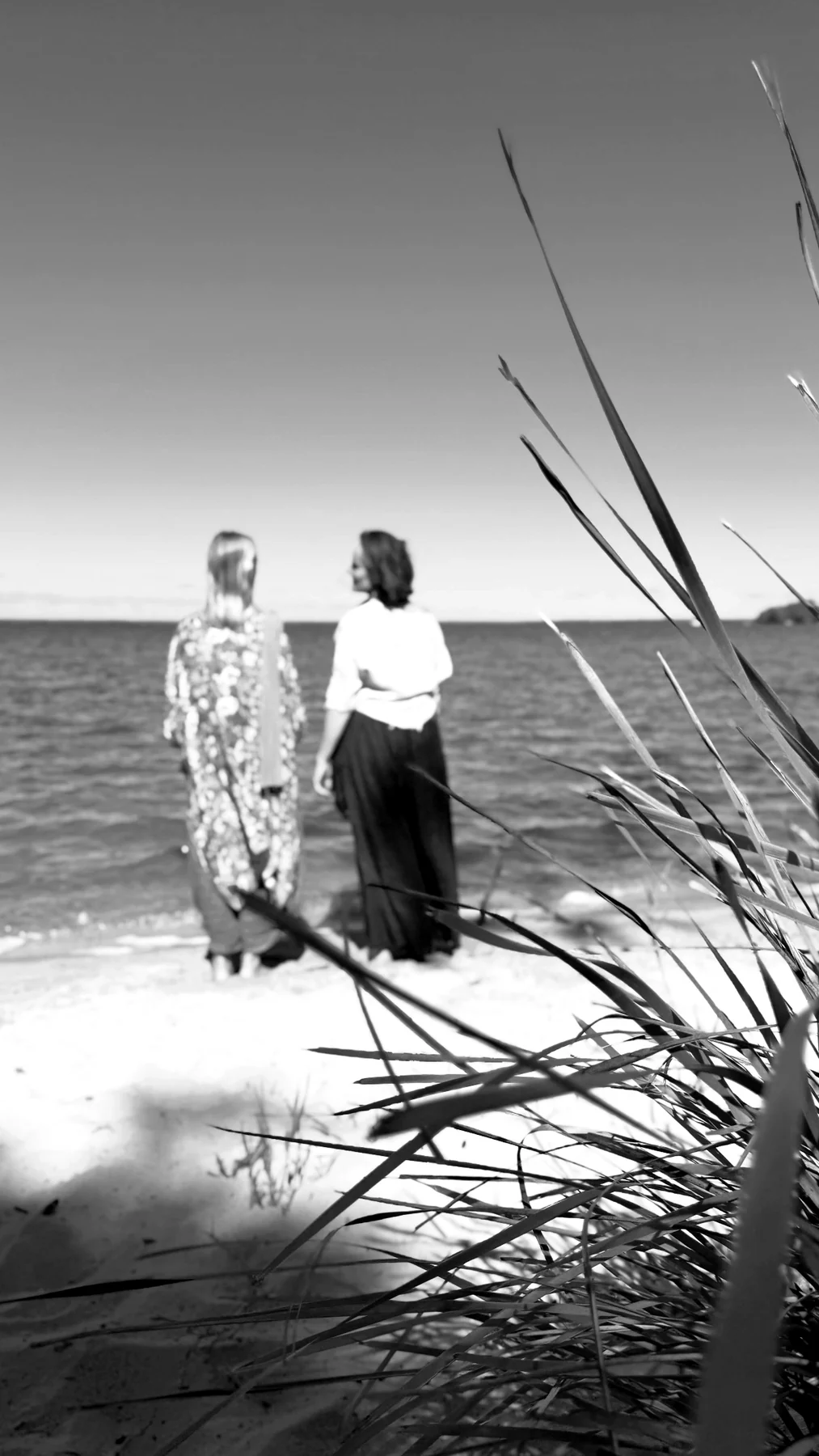 Two people standing together on a beach beyond tall coastal grass